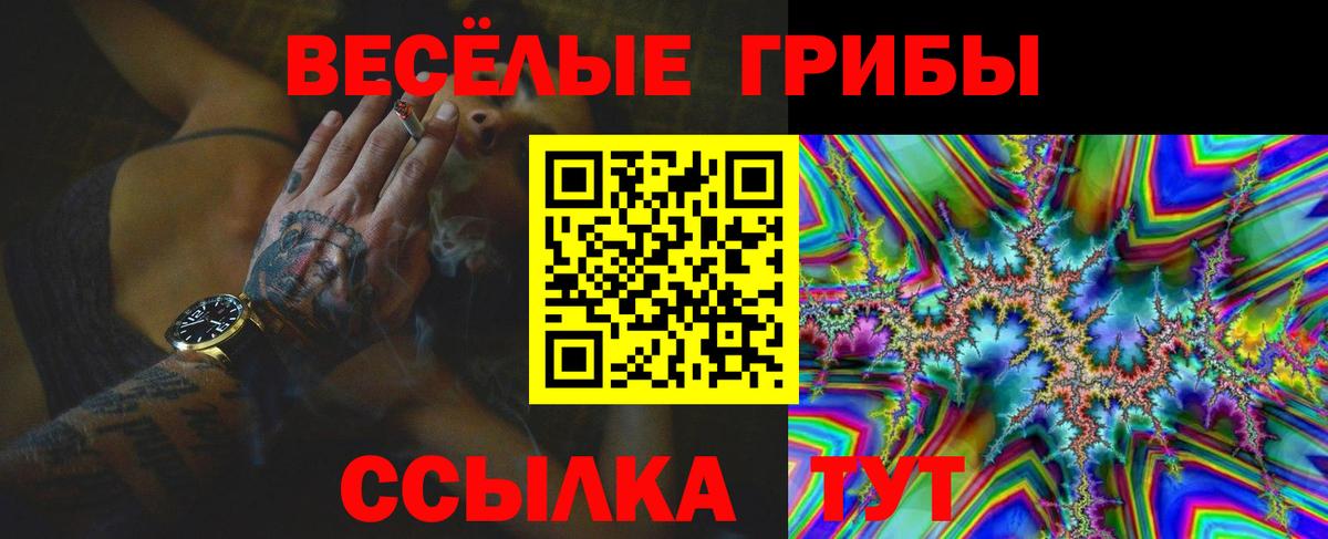 Новочеркасск  Псилоцибиновые грибы Magic Shrooms  цена   Галлюциногенные грибы MAGIC MUSHROOMS  Вход с VPN 
