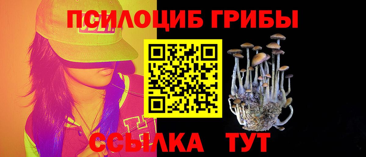 Псилоцибиновые грибы мухоморы Новочеркасск